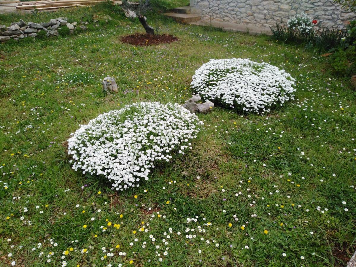 Apartman Tiziana Zadar Dış mekan fotoğraf
